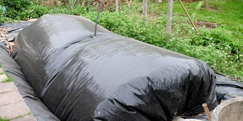 KENYA: AstraZeneca and CISL start up 50 biogas digesters ©TK99/Shutterstock