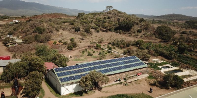 AFRIQUE : Evolution II investit 7 M$ dans Solar Africa et l’off-grid solaire©Sebastian Noethlichs/Shutterstock