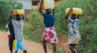 SÉNÉGAL : Oshun lève plusieurs millions d’euros pour l’eau potable dans les villages©Dennis Diatel/Shutterstock