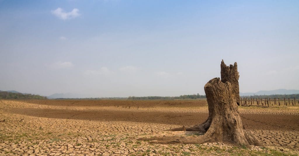 SAHEL: States adopt Climate Investment Plan of about $400 billion©24NovembersShutterstock