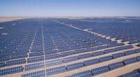 ÉGYPTE : Acciona Energía et Swicorp mettent en service trois parcs solaire de 186 MW©lightrain/Shutterstock