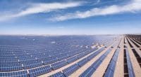AFRIQUE DU SUD : Nedbank émet des obligations vertes pour les énergies renouvelables©lightrain/Shutterstock