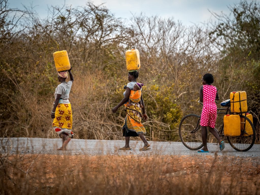 ZIMBABWE : le gouvernement lance un appel d’offres pour un projet d’AEP près de Harare©Jen Watson/Shutterstock
