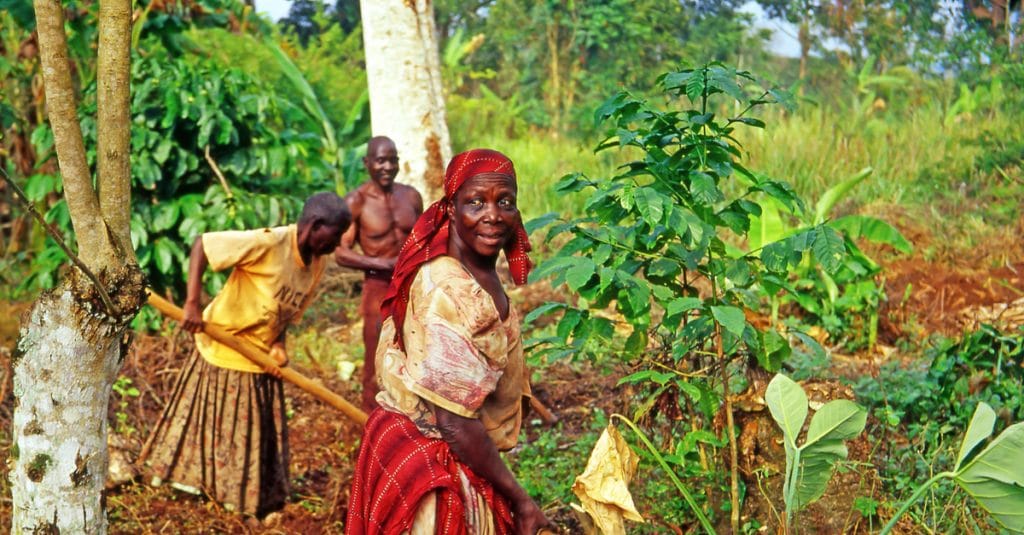 SENEGAL: BNP Paribas grants $1.8 million for eco-friendly agriculture programme©PecoldShutterstock