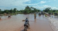 AFRIQUE : l’Unesco et le Japon créent une plateforme d’alerte aux inondations © Vadim Petrakov/Shutterstock