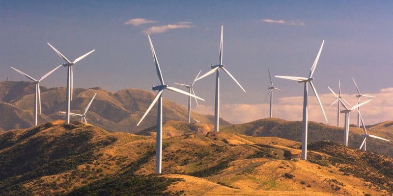 TANZANIE : Eurus Energy investit 10 M$ dans Winlab et le parc éolien de Miombo Hewani©SkyLynx/Shutterstock