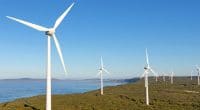 EGYPT: Lekela Power obtains land to produce 250 MW of wind energy in Ras Gharib©David Steele/Shutterstock