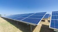 RDC : Exim Bank of India finance la construction de trois centrales solaires à 83 M$©ES_SOShutterstock