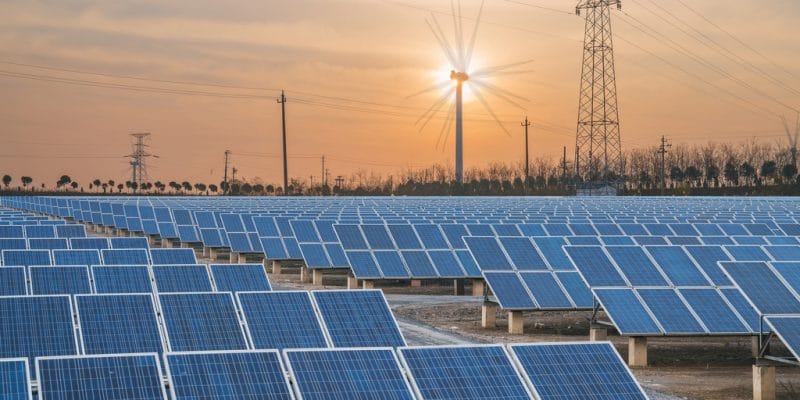 GAMBIE : l’État et ses partenaires lancent un programme d’énergies renouvelables©Hanyu Qiu/Shutterstock