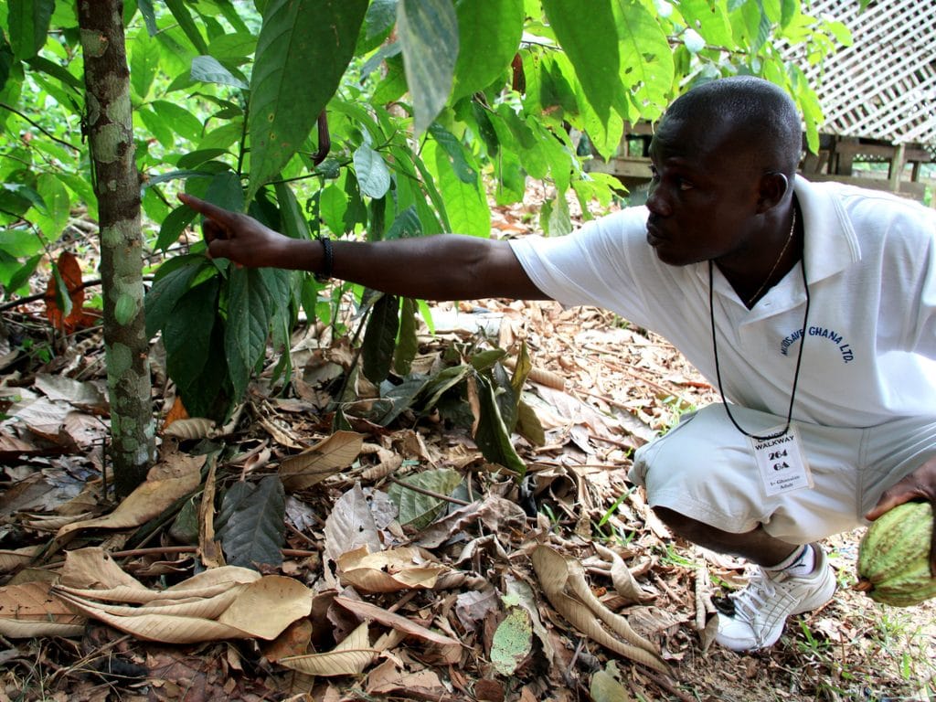 IVORY COAST: Training on climate change and sustainable agriculture©Jen Watson/Shutterstock