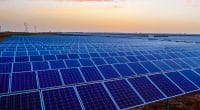ZAMBIE : Xago et Blue Chip décrochent un contrat de 500 M$ pour un parc solaire©Jenson/Shutterstock