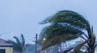 MALAWI : après le cyclone, la BAD renforce la lutte contre le changement climatique©zstock/Shutterstock