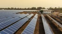 GAMBIA: UNDP invites bids for two BOOT solar projects©Kampan/Shutterstock
