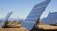 ZAMBIA: Three consortia selected for six solar projects under GET FiT programme©Vibe Images/Shutterstock
