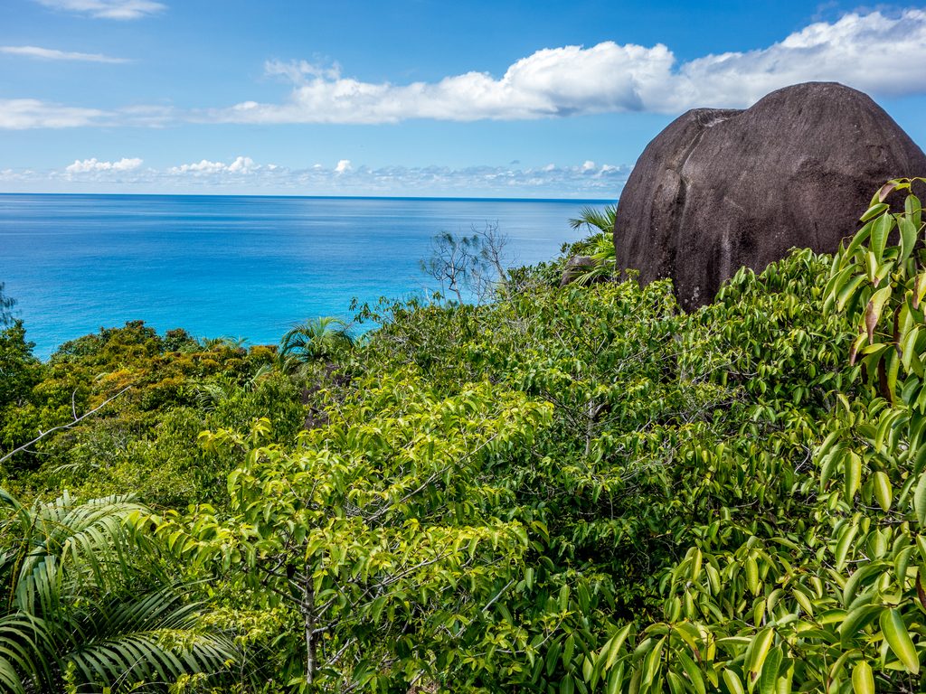 SEYCHELLES: Government and FAO invest $5 million in forest management and bioenergy©KarlosXII/Shutterstock