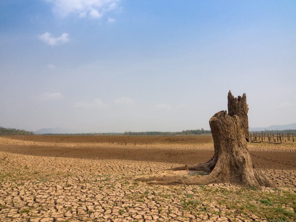 FITSEDD 2019: A forum to rethink climate change in Africa© 24November/Shutterstock