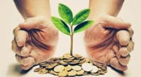 AFRIQUE AUSTRALE : le Fonds vert octroie 56 millions $ pour la finance verte© wk1003mike/ Shutterstock