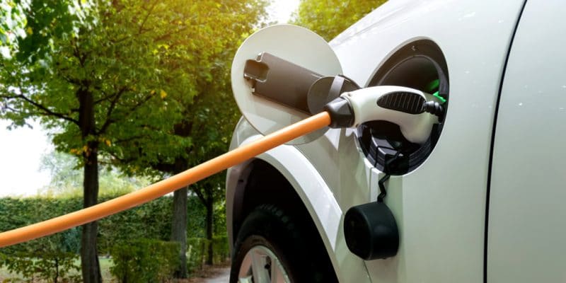SOUTH AFRICA: Eskom negotiates import conditions for electric cars© Zapp2Photo/Shutterstock