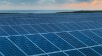 ZIMBABWE: Plans construction of three 250MW solar power plants250MW© Sergey Molchenko/Shutterstock