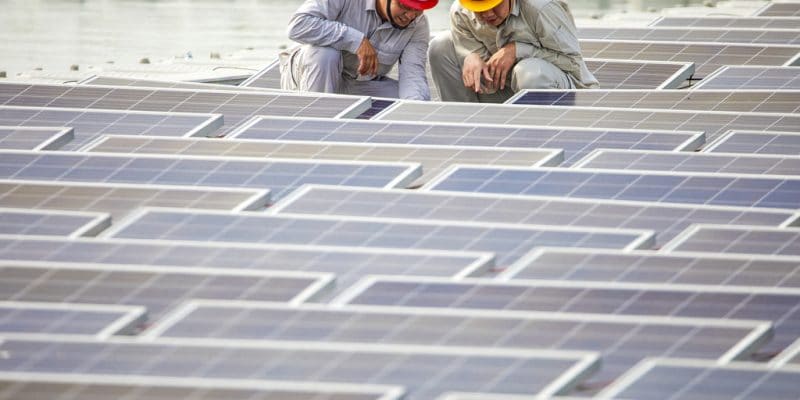 MALAWI: JCM issues tender for 20 MW solar park construction ©Jenson/Shutterstock