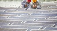 MALAWI : JCM lance un appel d’offres pour la construction d’un parc solaire de 20 MW ©Jenson/Shutterstock