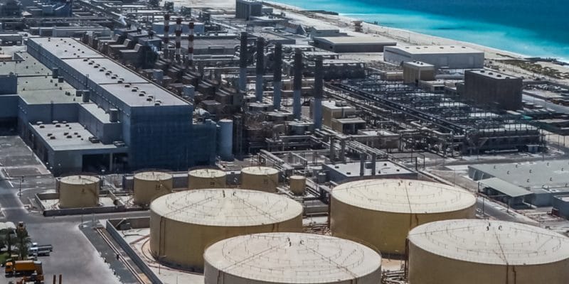ÉGYPTE : l’Etat alloue 75 M$ pour deux usines de dessalement dans la SCZone©Stanislav71/Shutterstock
