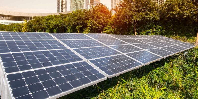 ZIMBABWE: DPA activates 466 kWp solar mini grid for Econet Wireless©asharkyu/Shutterstock