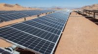 MADAGASCAR: Trysbas Energy will supply 50 MW of solar energy within 5 years©abriendomundo/Shutterstock