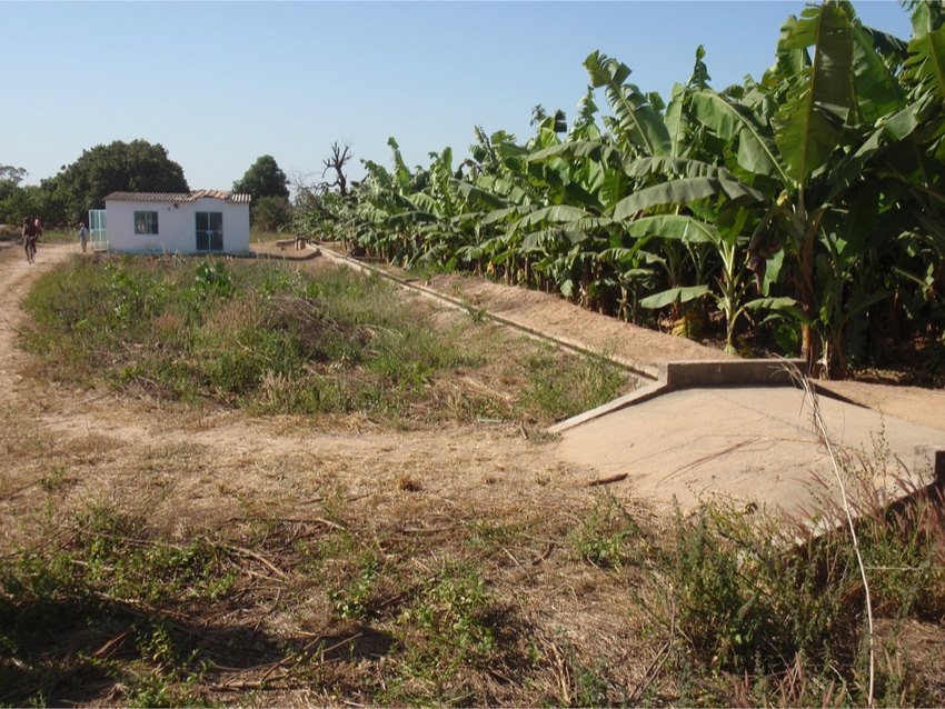 Irrigation Senegal © Xavier Boulenger - Shutterstock