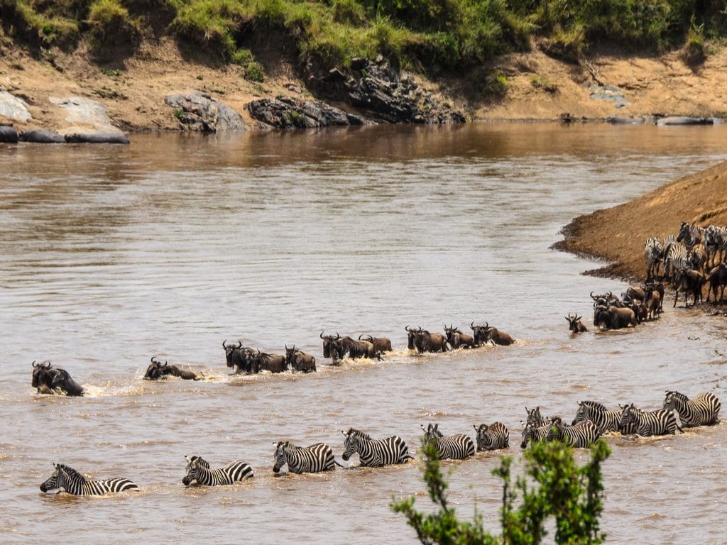 TANZANIA: Dodoma calls on Kenya to stop damming projects on Mara River ©Arend van der Walt/Shutterstock