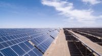EGYPT: Schneider Electric and its partners connect solar park in Sharm el Sheikh©lightrain/Shutterstock