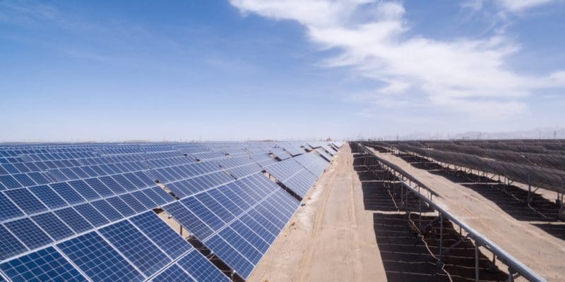 ÉGYPTE : Schneider Electric et ses associés connectent un parc solaire à Charm el Cheikh©lightrain/Shutterstock