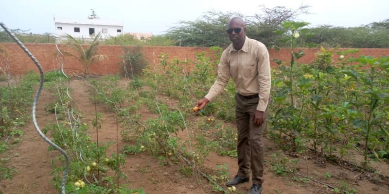SENEGAL: Abdoul Rahim Ba showcases bio agriculture's potential for Africa