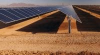 DJIBOUTI : Engie va construire une centrale solaire de 30 MW à Grand Bara ©wadstock/Shutterstock