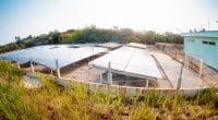 KENYA: MCX Environmental to build 30-megawatt solar park in Mwale©Nguyen Trong Nhan/Shutterstock