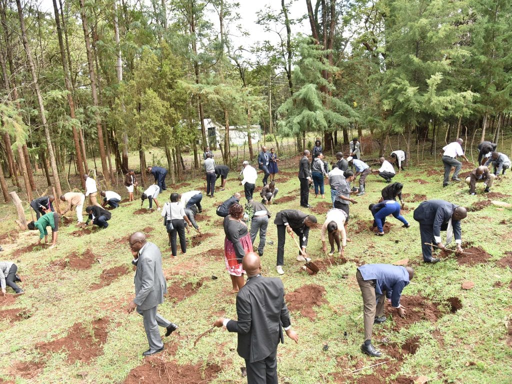 KENYA : des initiatives pour agrandir le couvert forestier et restaurer les terres©Cheboite Titus/Shutterstock
