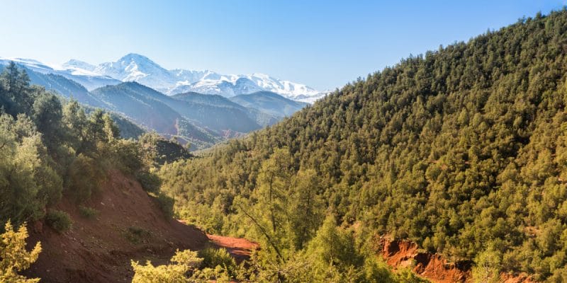 ALGÉRIE : la forêt de Djebel Babor redevient un parc national©LouieLeaShutterstock