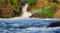 OUGANDA : vive opposition des populations au barrage près des chutes de Murchison©Oleg Znamenskiy/Shutterstock