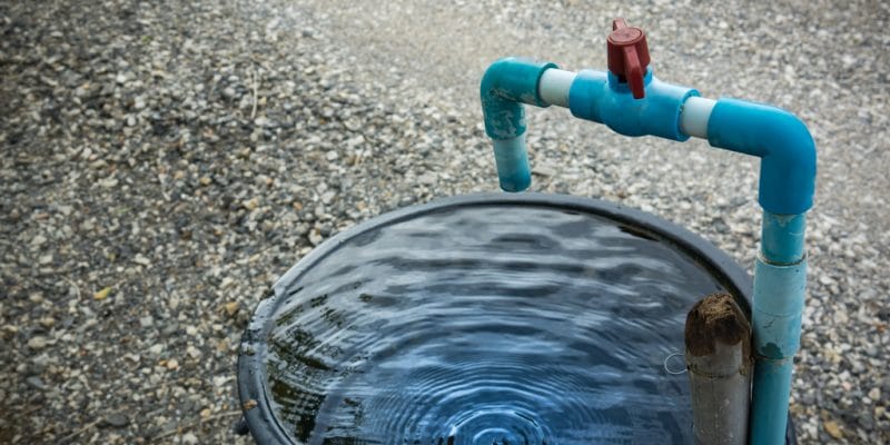 EGYPT: Switzerland sponsors clean water programme in Aswan©Torychemistry/Shutterstock