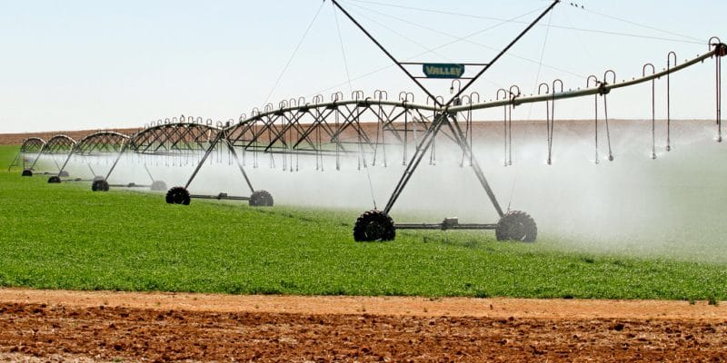 NIGERIA : le gouvernement fédéral fournit neuf systèmes d’irrigation à deux États©MartinMaritz/Shutterstock
