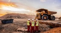 CAR: Parliament accuses 4 Chinese mining companies of ecological disaster©Sunshine SeedsShutterstock