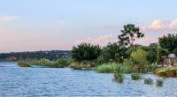 BASSIN DU CONGO : vers une gestion intégrée des fleuves partagés qui protège la forêt©Robin NieuwenkampShutterstock