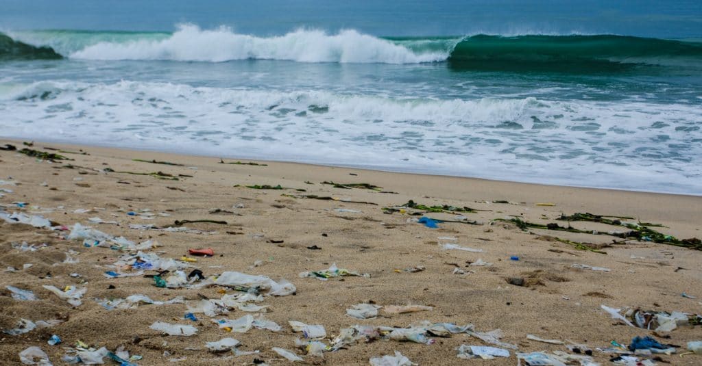 IVORY COAST: Towards "Zero plastic on the beaches" objective©Neja HrovatShutterstock