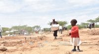 NIGERIA: UNDP's "Cash for Work" project to clean up Maiduguri city©Cheboite TitusShutterstock