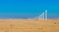 KENYA : le gouvernement inaugure le plus grand projet éolien d’Afrique©Andrej PrivizerShutterstock