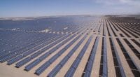 ÉGYPTE : trois IPP présélectionnés pour le projet solaire de Zaafarana de 50 MW©lightrain/Shutterstock