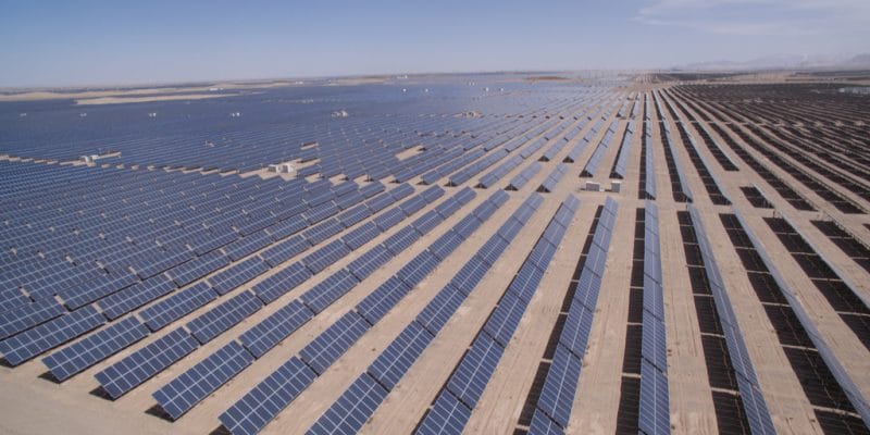 EGYPT: Three IPPs preselected for Zaafarana solar (50 MW) project©lightrain/Shutterstock