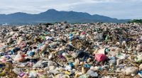 IVORY COAST: Akouédo landfill near Abidjan becomes urban park©Nokuro/Shutterstock