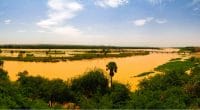 MALI : le gouvernement lance un plan national pour sauver le fleuve Niger ©Homo CosmicosShutterstock