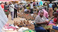 KENYA: new waste regulations for Nakuru markets ©Nurlan Mammadzada/Shutterstock